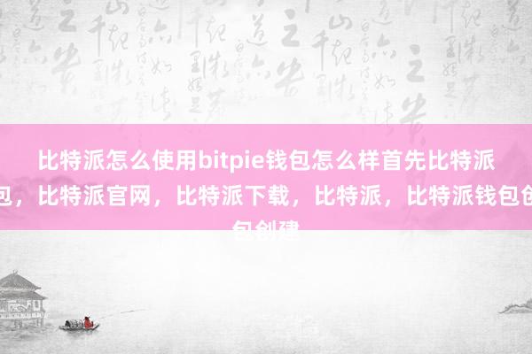 比特派怎么使用bitpie钱包怎么样首先比特派钱包，比特派官网，比特派下载，比特派，比特派钱包创建