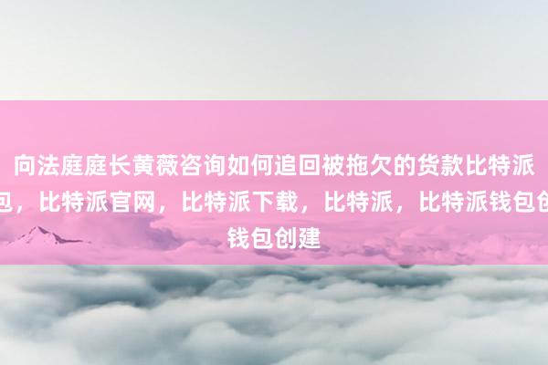 向法庭庭长黄薇咨询如何追回被拖欠的货款比特派钱包，比特派官网，比特派下载，比特派，比特派钱包创建