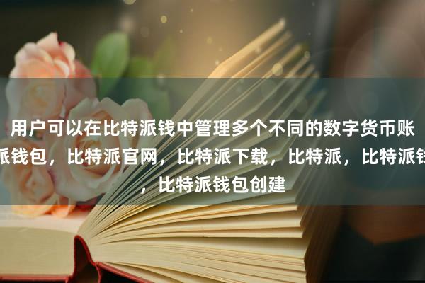 用户可以在比特派钱中管理多个不同的数字货币账户比特派钱包，比特派官网，比特派下载，比特派，比特派钱包创建