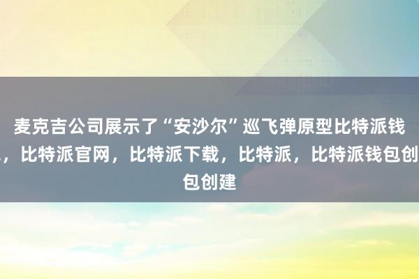 麦克吉公司展示了“安沙尔”巡飞弹原型比特派钱包，比特派官网，比特派下载，比特派，比特派钱包创建