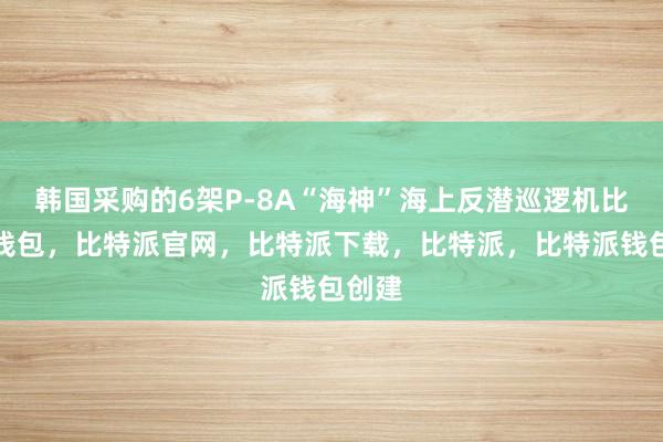 韩国采购的6架P-8A“海神”海上反潜巡逻机比特派钱包，比特派官网，比特派下载，比特派，比特派钱包创建