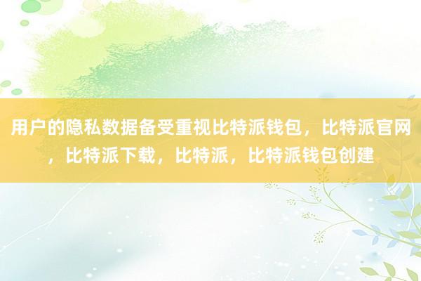 用户的隐私数据备受重视比特派钱包，比特派官网，比特派下载，比特派，比特派钱包创建