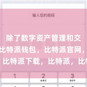 除了数字资产管理和交易功能外比特派钱包，比特派官网，比特派下载，比特派，比特派钱包创建